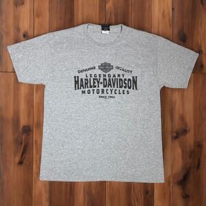Harley-Davidson‎ Motorcycles Pocket T-Shirt Mens Large Gray Y2K